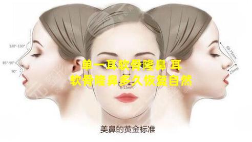 单一耳软骨隆鼻 耳软骨隆鼻多久恢复自然